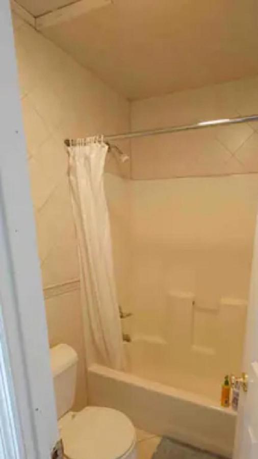 Spacious Room For 4 People In Williamsburg ! New York Exteriör bild
